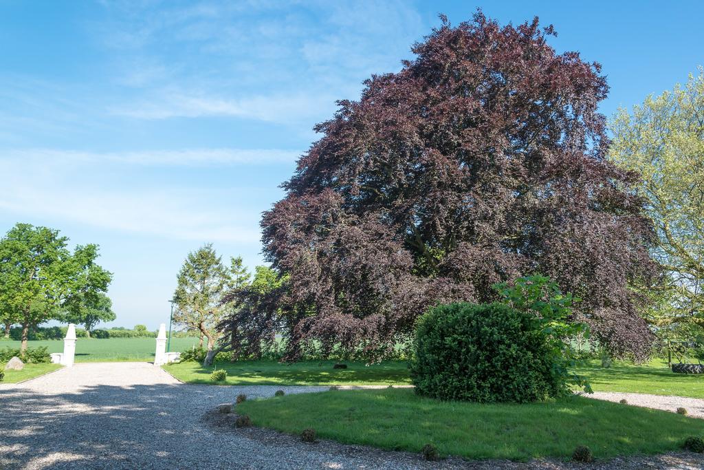 Ferienhof Kolauerhof - Bauernhofurlaub In Grömitz Exterior foto